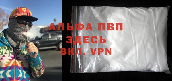 хмурый Абаза