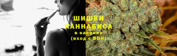 стаф Абдулино