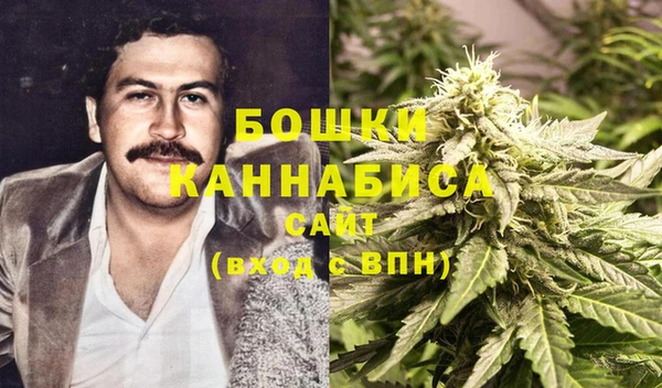 хмурый Абаза