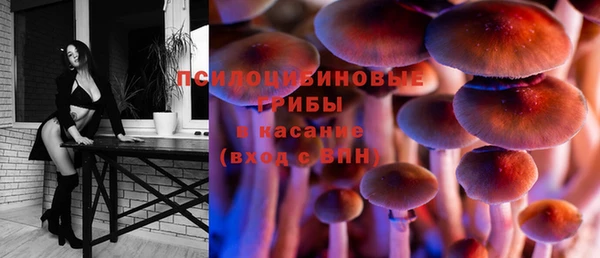 круглые Алексеевка