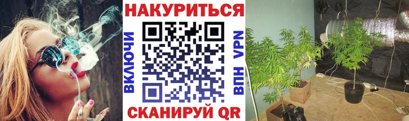 Марихуана SATIVA & INDICA  Нелидово 